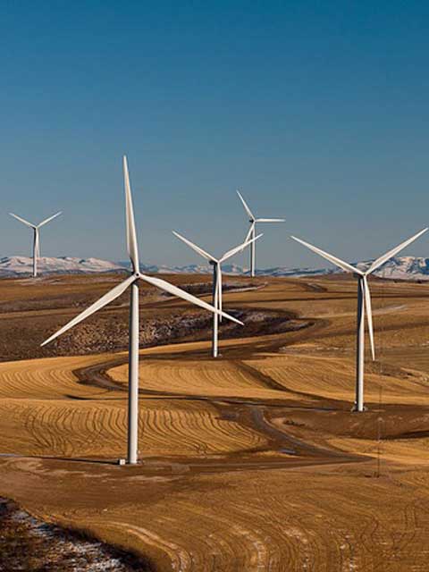 智能分类整理的DDOS在线攻击